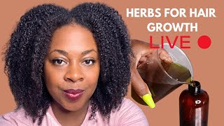 Live Chat- Giving you the tea on Scalp Care