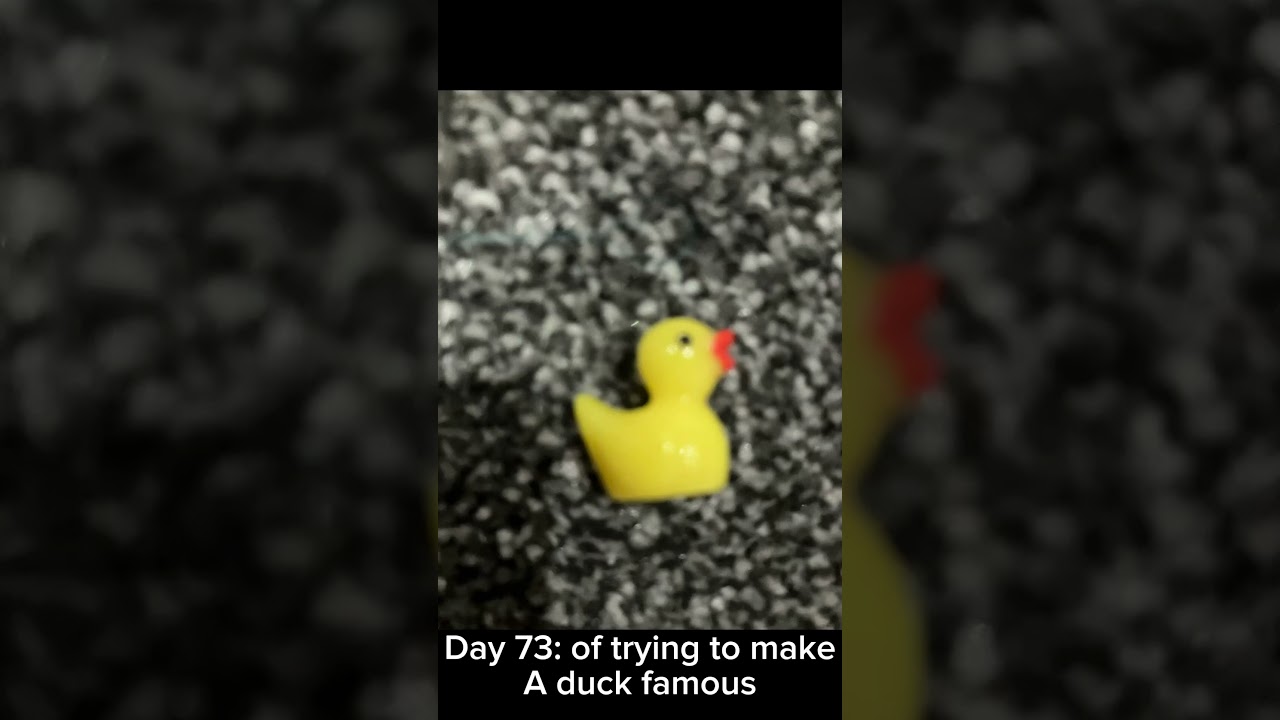 Day 73: of viral duck 