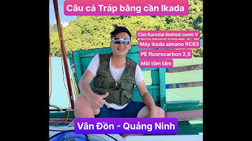 Câu ikada cá Tráp