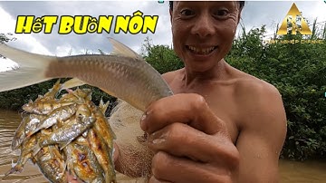 Quăng Chài Bắt Cá Suối Mùa Lũ ll Cá Trắng Chiên Giòn ll Ẩm Thực Thất Nghiệp