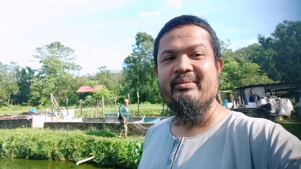 Projek ikan patin dan ikan keli - 1 ( 15 Jun 2020 )