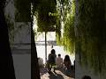 Chill Seine Walk at Sunset | Peaceful Paris Afternoon Vibes