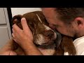 Senior shelter dog was desperate for love. Then he found the perfect home.