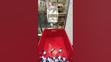 #chocolate #packingmachine double twist packing machine