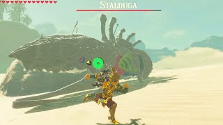 NEW Stalduga enemy! - The Legend of Zelda: Breath of The Wild