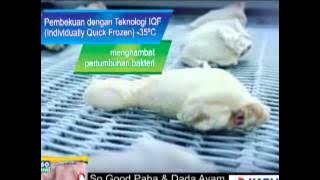 SO GOOD PAHA & DADA AYAM