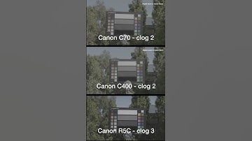 Colour check // C400 - C70 - R5c