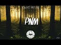 PNM - Thousand years