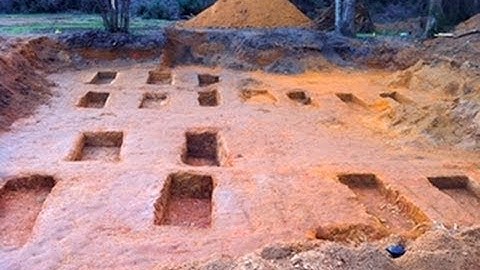 USF Investigators Find More Graves than Expected at Dozier