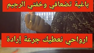 افقدي وزن بلا رجيم وبلا دراهم وبلا جوع وبلا تعب نفسي.