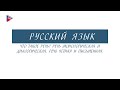 5 класс - Русский язык - Что такое речь? Речь монологическая и диалогическая, устная и письменная