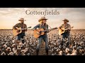 Cottonfields Country Angel mp3