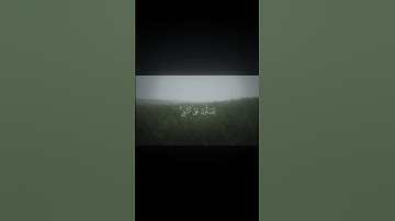 إِنَّ ٱللَّهَ وَمَلَـٰۤىِٕكَتَهُۥ یُصَلُّونَ عَلَى ٱلنَّبِیِّۚ | تلاوة من سورة الأحزاب