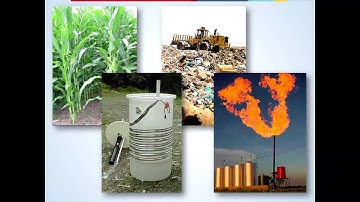 Refueling the future with alcohol fuels | Eyal Aronoff | TEDxChapmanU