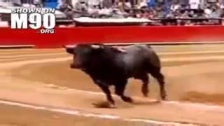 El toro Pajarito en la Plaza México // Pajarito - the flying bull