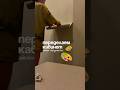 Вся переделка квартиры на канале #ремонтсвоимируками #недвижимостьвгрузии #ремонт #вседляремонта