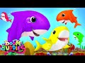 Baby Shark + More Kids Rhymes & Cartoon Songs - Boom Buddies