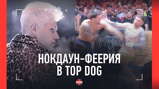 ШЕСТЬ НОКДАУНОВ НА ДВОИХ! / Никулин ворвался в сено / Новый стиль Регбиста / ОГНЕННЫЙ TOP DOG 20