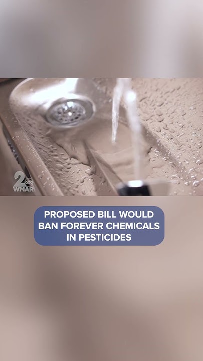 Lawmakers look to ban forever chemicals #maryland #news # ...