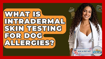 What Is Intradermal Skin Testing For Dog Allergies? - Ask A Pet Vet