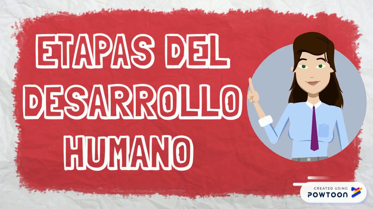 ETAPAS DEL DESARROLLO HUMANO - YouTube