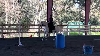 Working Equitation Level 5 EOH