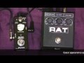 Mooer Black Secret Rat Clone Vs ProCo Rat Distortion Pedal Comparison