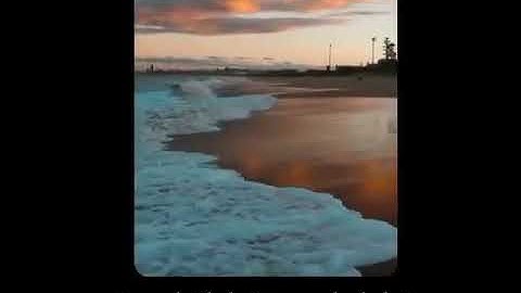 الشيخ #علي_جابر || سورة #الذاريات || وما خلقت الجن والانس الا ليعبدون