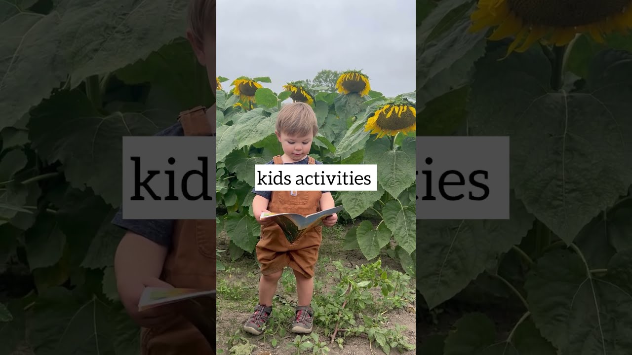 Blake’s Sunflower Festival in Armada, MI #michigan #sunflower