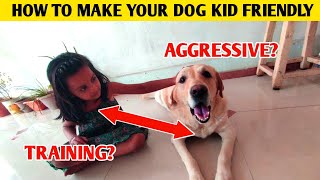 How to make dog kid friendly : make your dog friendly by At Mix 319 views 3 weeks ago 6 minutes, 36 seconds