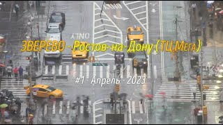 ЗВЕРЕВО -РОСТОВ (Мега)/#1 -Апрель -2023