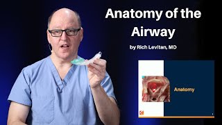 Anatomy of the Airway | Mastering the Emergency Airway Course