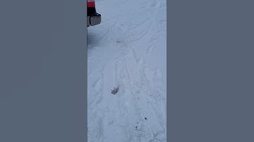 2005 ford f150 5.4l open headers