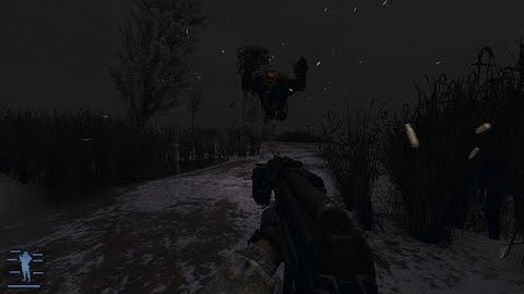 STALKER ANOMALY HUNTING CHIMERA