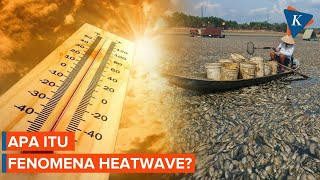 Apa Itu Fenomena "Heatwave", Gelombang Panas yang Melanda Thailand dan Vietnam?