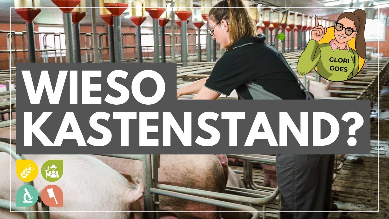 knstliches jod Natrliches Jod aus Kelp PureSea  Nachhaltig & Vegan