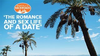 Come to Riverside County to learn about The romance and sex life of a date | Bartells Backroads