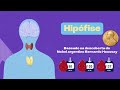 🧠 Como o Cérebro Controla o Açúcar no Sangue 🧠