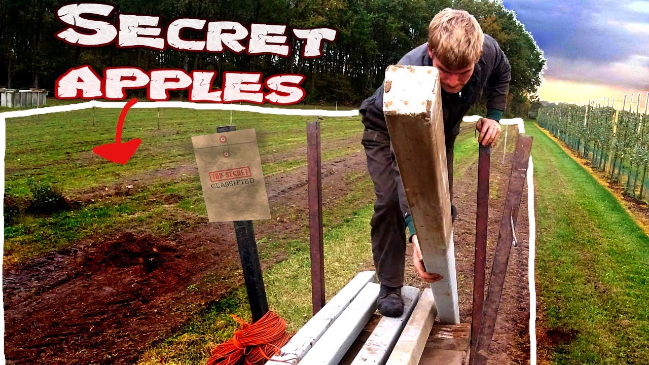 Planting more appletrees | secret apple sort