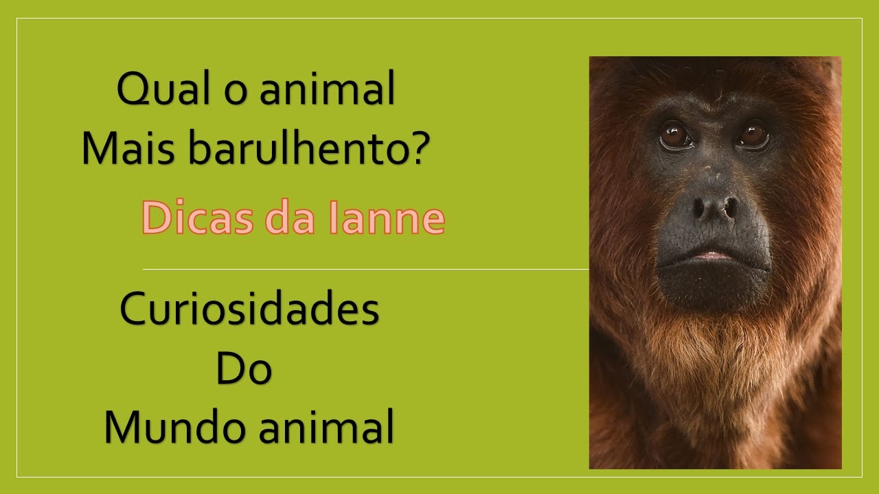 Qual o animal mais barulhento? - YouTube