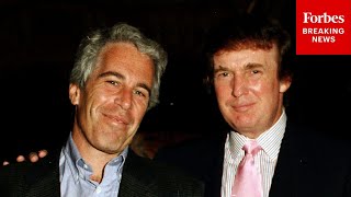 These Are The New Details We've Learned About Trump's Relationship With Epstein: Journalist