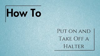 How To: Put On and Take Off a Halter