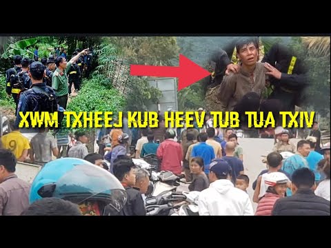 Video: Dab Tsi Tam Sim No Nyob Ntawm Peb