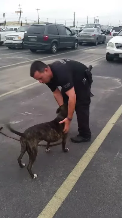 Police Dog Grant K9 Libby