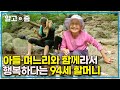 94세 나이에 도끼질도 거뜬한 할머니의 장수 비결은 함께 사는 아들과 며느리? 셋이라서 3배 더 좋다는 할머니의 행복한 일상┃장수의 비밀┃알고e즘