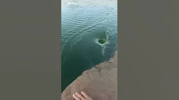 بحر الغدر 
