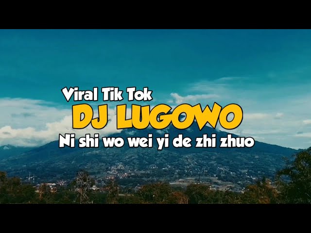 DJ LUGOWO _ ( NI SHI WO WEI YI DE ZHI ZHUO ) _ REMIX VIRAL TIK TOK !!! class=