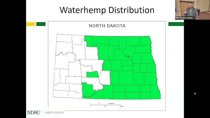 The War Against Weeds - Wild World of Weeds Workshop 2025