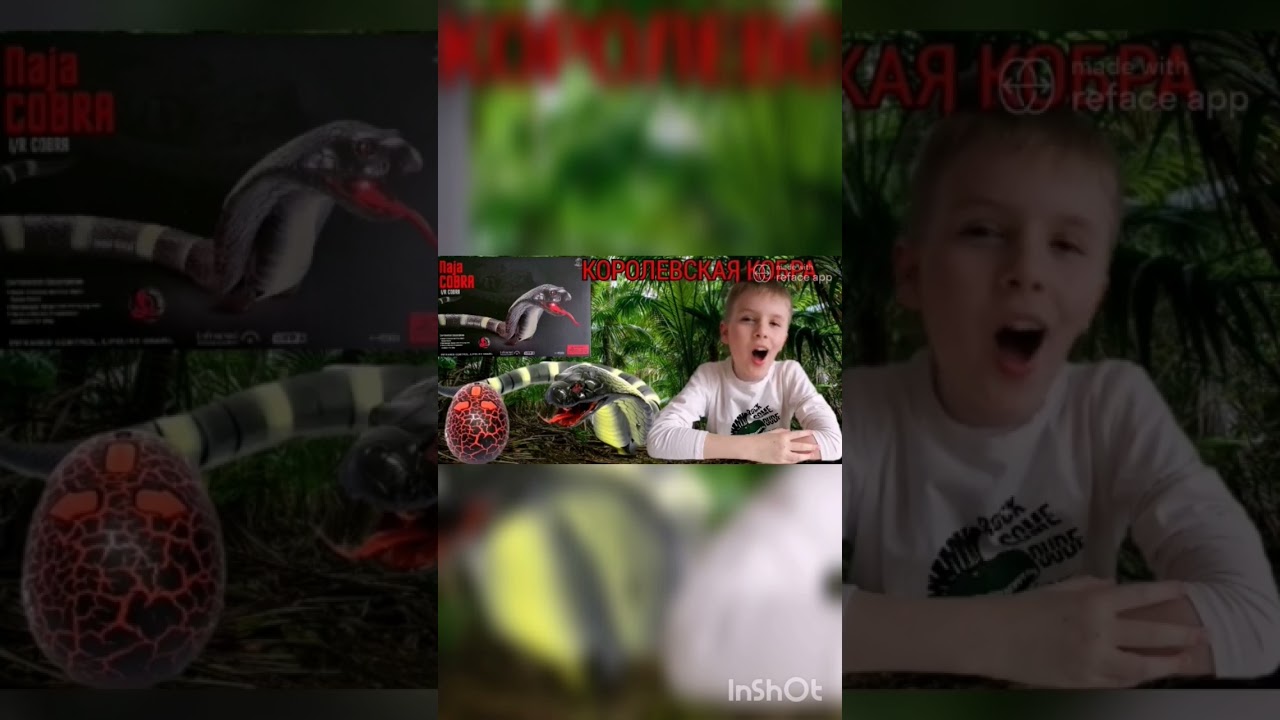 Видео распаковки кобры на пульте управления. СКОРО! На всех каналах Устин ТВ. 