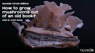 How to grow mushrooms out of an old book?